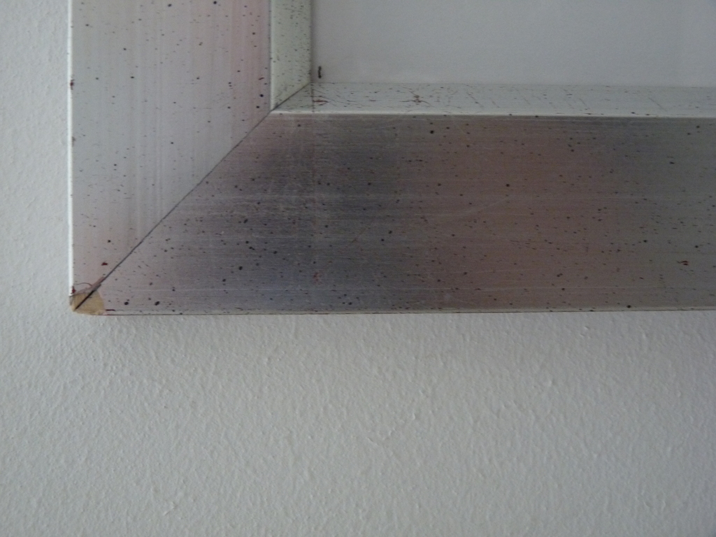 JAN CREMER   ZEEFDRUK  TULPEN kopen? Bied vanaf 185!