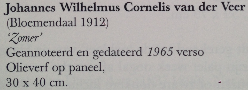  Johannes Wilhelmus Cornelis van der Veer - Zomer kopen? Bied vanaf 130!