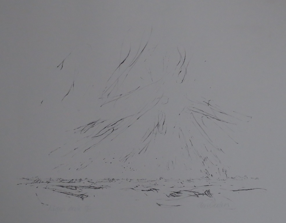 Willem den Ouden: Litho, Zonder titel kopen? Bied vanaf 1!