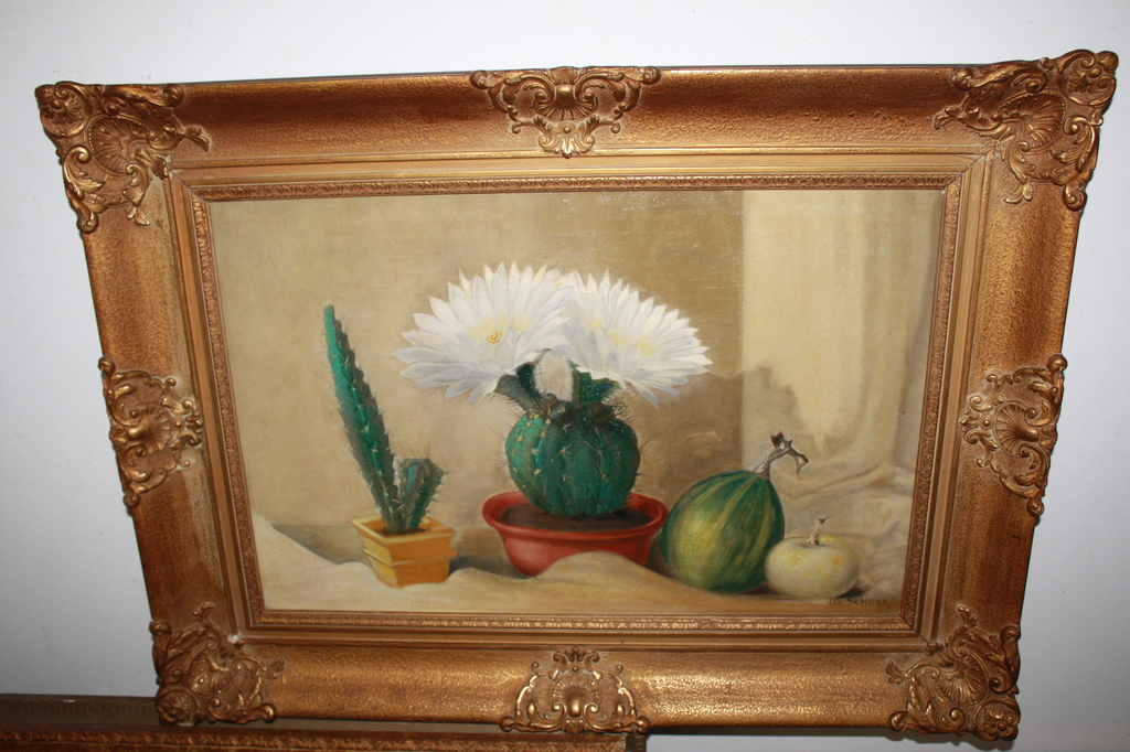 JAN SCHONK - CACTUSSEN en CALEBAS kopen? Bied vanaf 125!