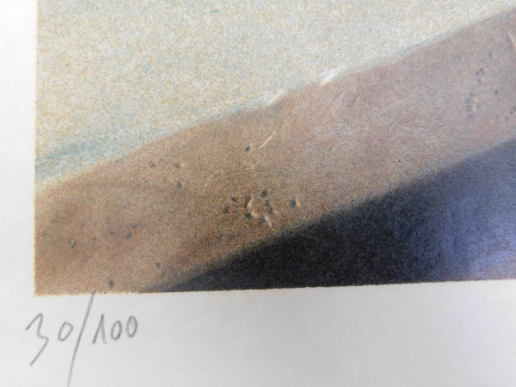 Bernard Moldawan - Kleurenlitho - Electric Feather kopen? Bied vanaf 45!