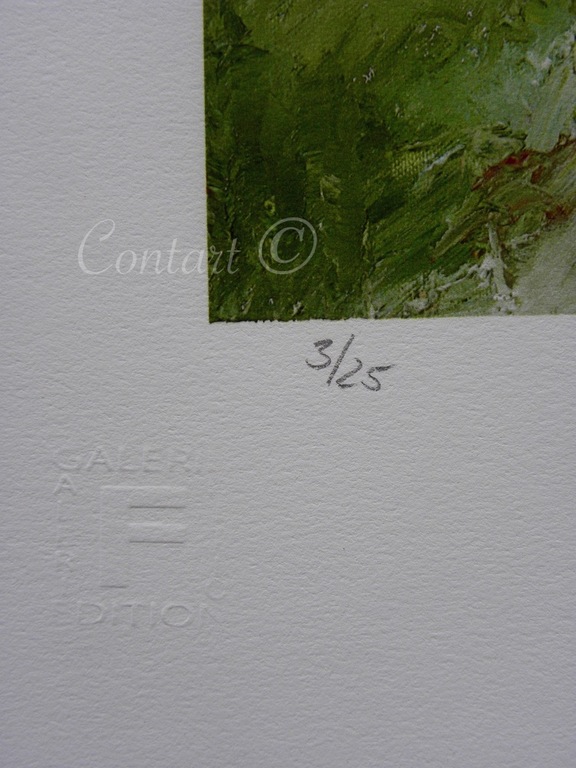 'Waldig' - Giclee - Gesigneerd en Genummerd met de hand - 2015 kopen? Bied vanaf 200!