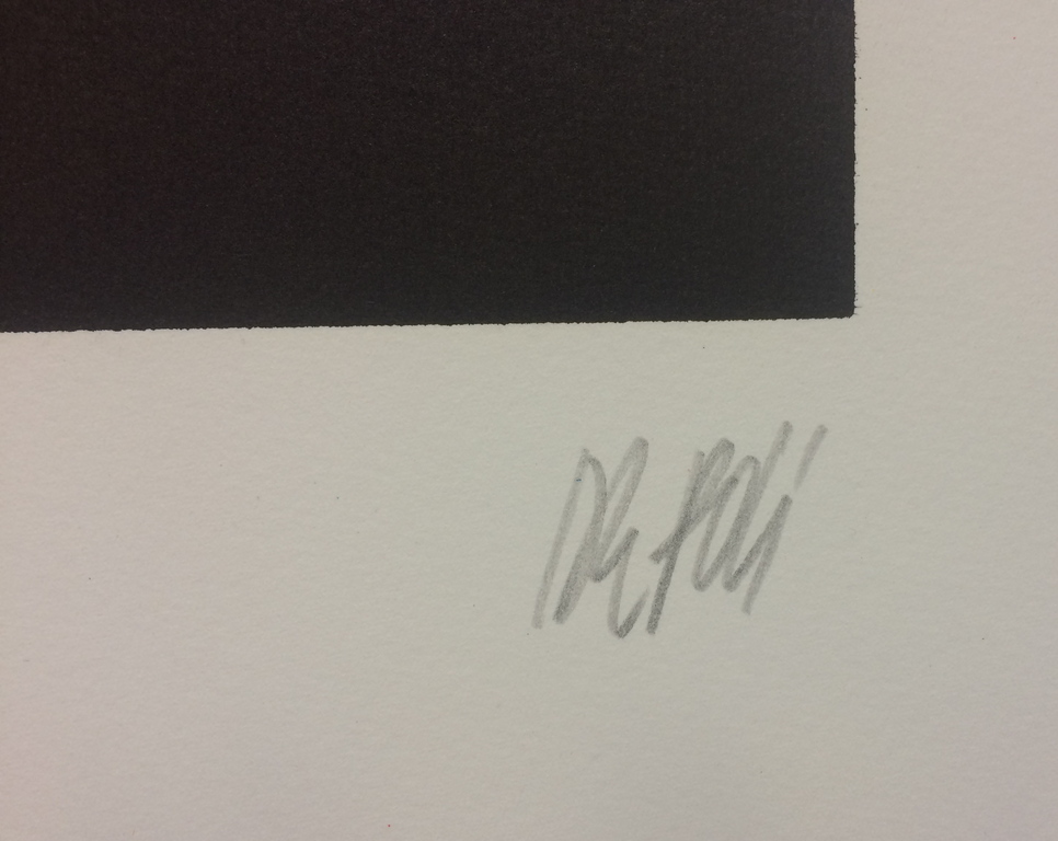 Fabio de Poli - Fabio de Poli - La Bolsa de Matisse - gesigneerd en genummerd kopen? Bied vanaf 1!