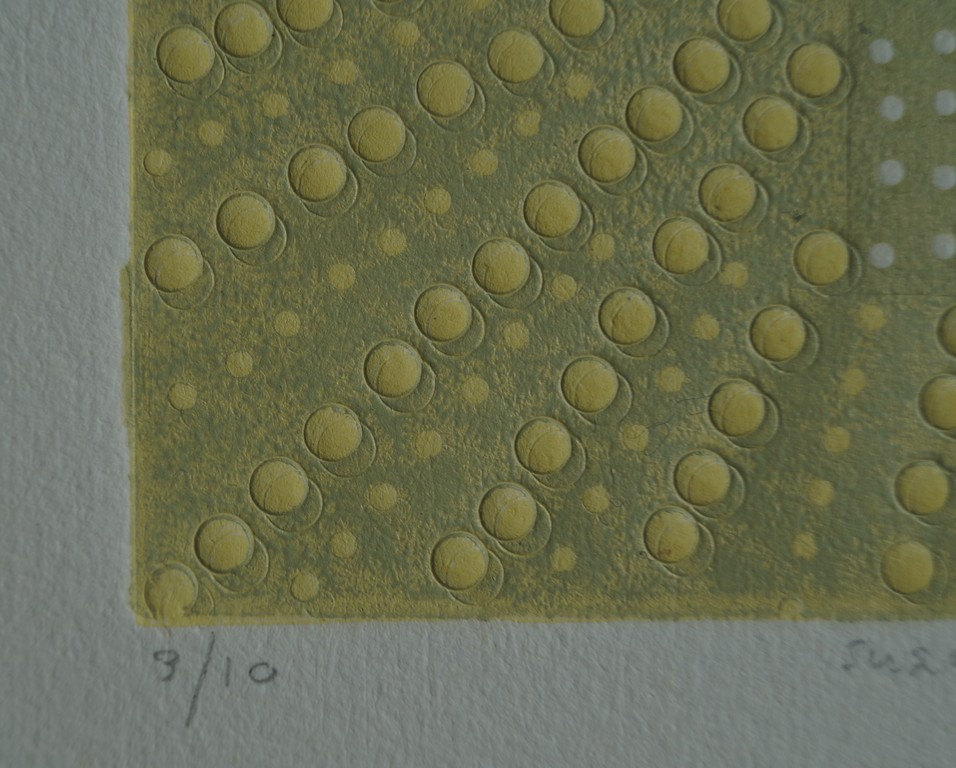 Suzanne Hartmans - zonder titel - gesigneerde ets met relief - 1996 kopen? Bied vanaf 1!