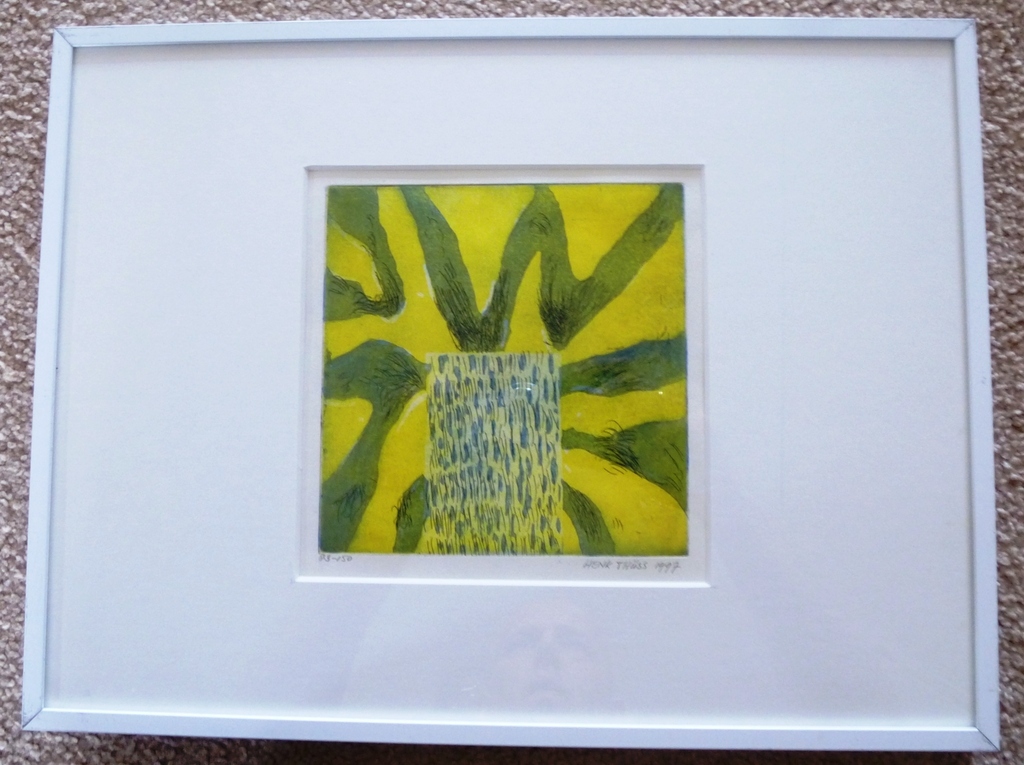 HENK THÜSS. Kleuren-Ets.1997. Gesigneerd en ingelijst, *DAKA AANBIEDING* kopen? Bied vanaf 23!