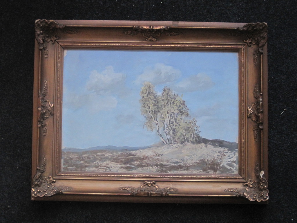 "Janus" de Winter 1882-1951 aquarel "zomers Veluwe landschap 1920 kopen? Bied vanaf 1!