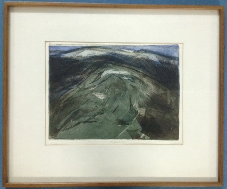 Prachtige kleurenets nr. 6/7- in lijst van 60 x 50 cm = hand gesigneerd  kopen? Bied vanaf 10!