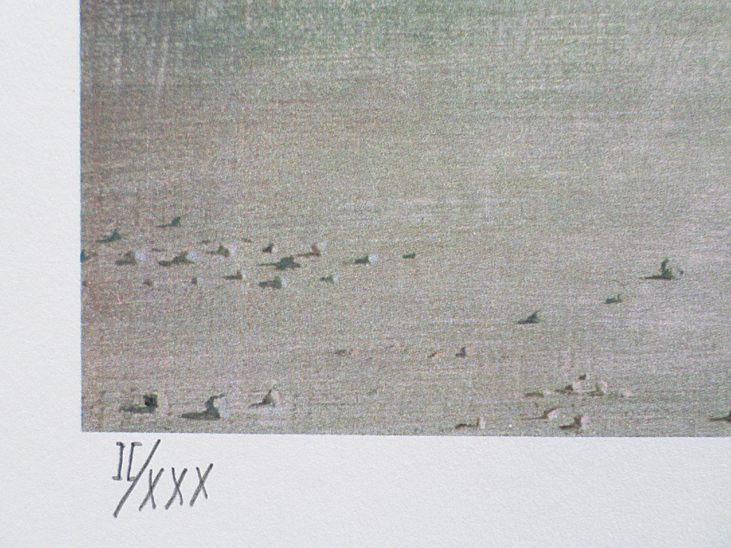 Carel Willink - Kameel in het park van Versailles, digitale kleurenprint kopen? Bied vanaf 75!