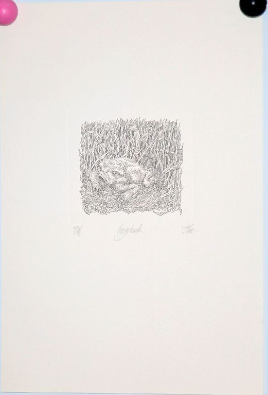 Peter Vos: Hoogdruk. Vreemde pad in het gras kopen? Bied vanaf 50!