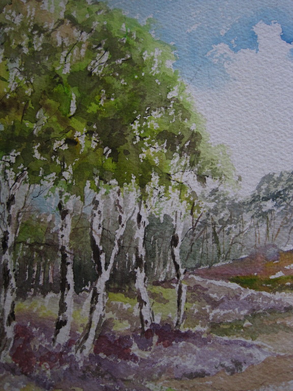 Magnifiek aquarel "Hollands Duinlandschap met berken en heide" gesigneerd kopen? Bied vanaf 1!