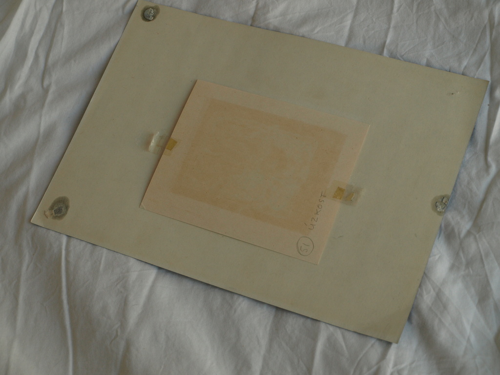 Vladimír Suchánek (1933) : Litho – Medusa –Gesigneerd – oplage 150 ex. kopen? Bied vanaf 1!