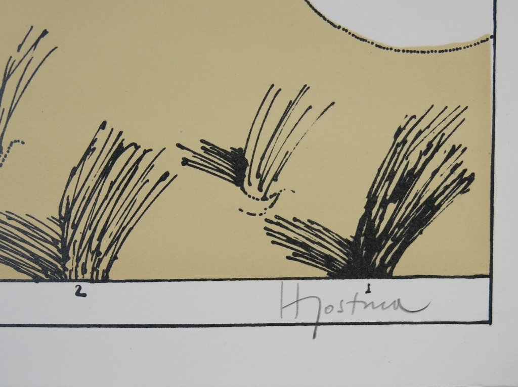 Hannes Postma: Litho, Het vroedmeester effect kopen? Bied vanaf 35!