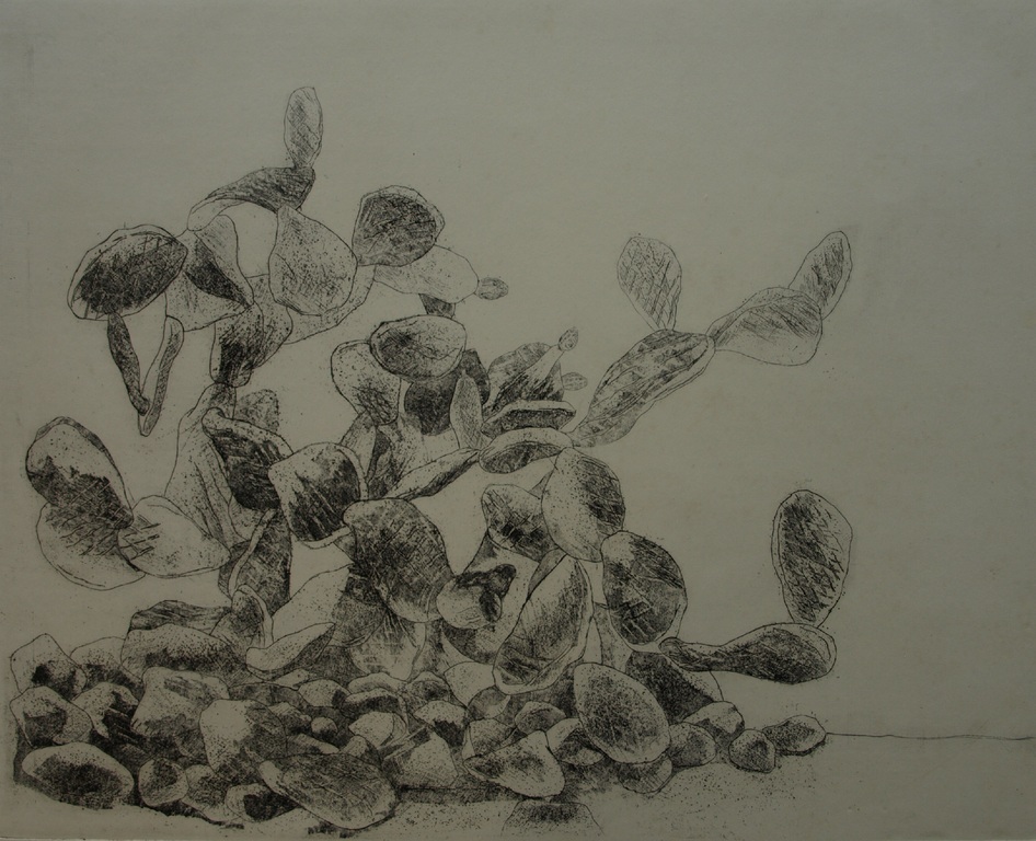 Walter Barten : Ets , De cactussen – gesigneerd – ca 1980 kopen? Bied vanaf 1!