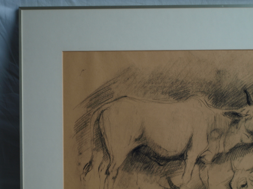 Jan Groenestein : Tekening , Koeien – gesigneerd & ingelijst – ca 1960 kopen? Bied vanaf 50!