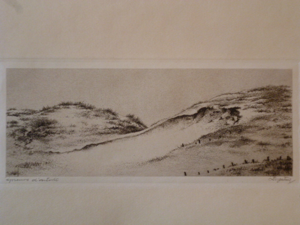 Dirk Harting - ets - Duinpan kopen? Bied vanaf 30!