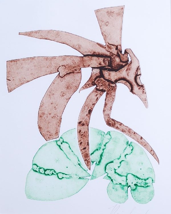 Reinhoud d'Haese: Ets Aquatint "Insect" - in mooie lijst. verkocht voor € 250!