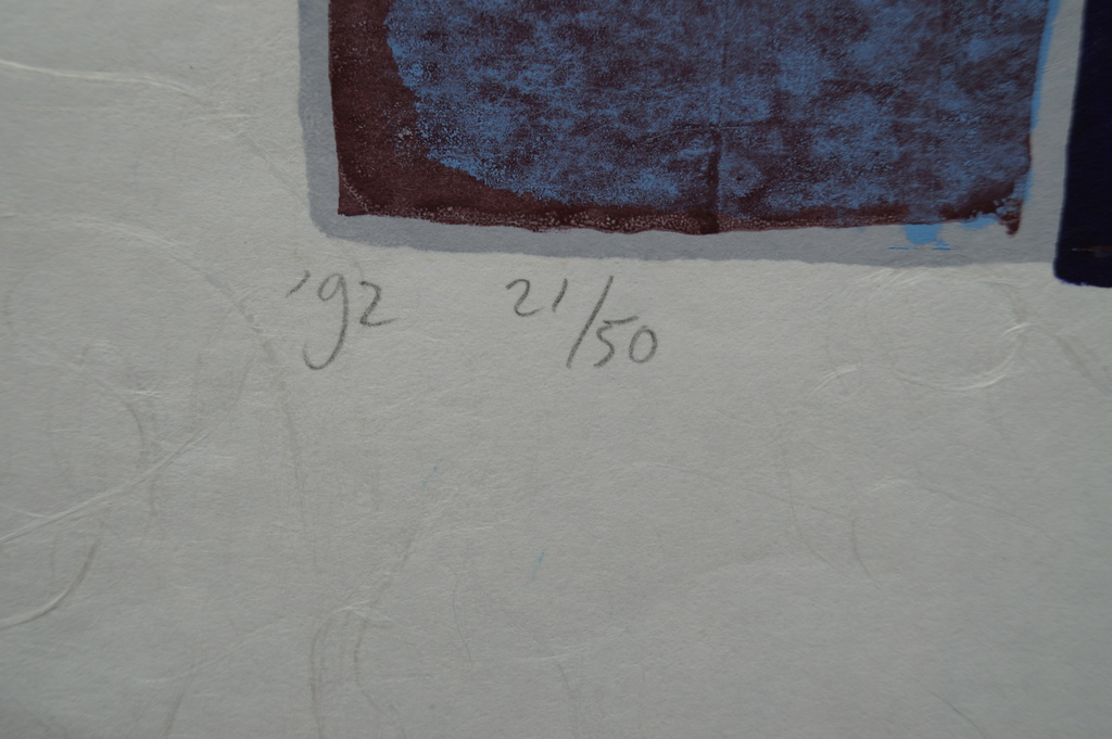 Maria Donker - gesigneerde zeefdruk - 50 ex. kopen? Bied vanaf 1!