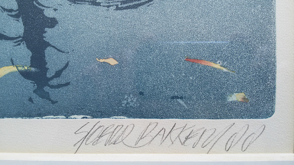 Sjoerd Bakker - Tropisch landschap, aquatint ets (ingelijst) kopen? Bied vanaf 1!