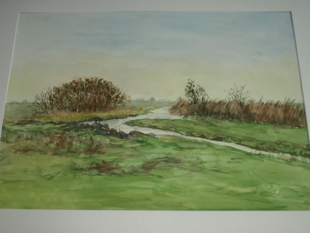 Joanne de Wilde – Aquarel – Water en riet – Ingelijst 71 x 56 cm kopen? Bied vanaf 1!