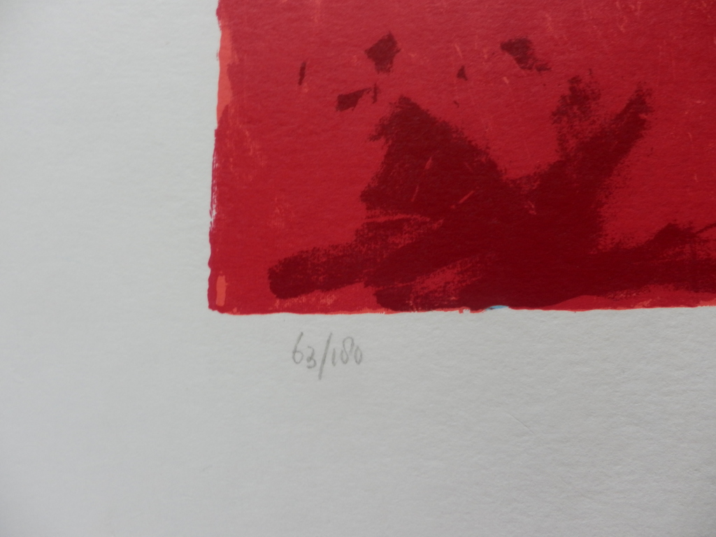 PETER DIEM Zeefdruk  ABSTRACT I kopen? Bied vanaf 1!