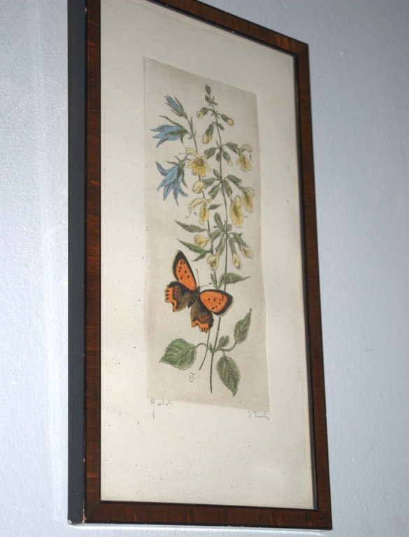 Vlinder en bloemen - gesigneerde kleurets kopen? Bied vanaf 25!