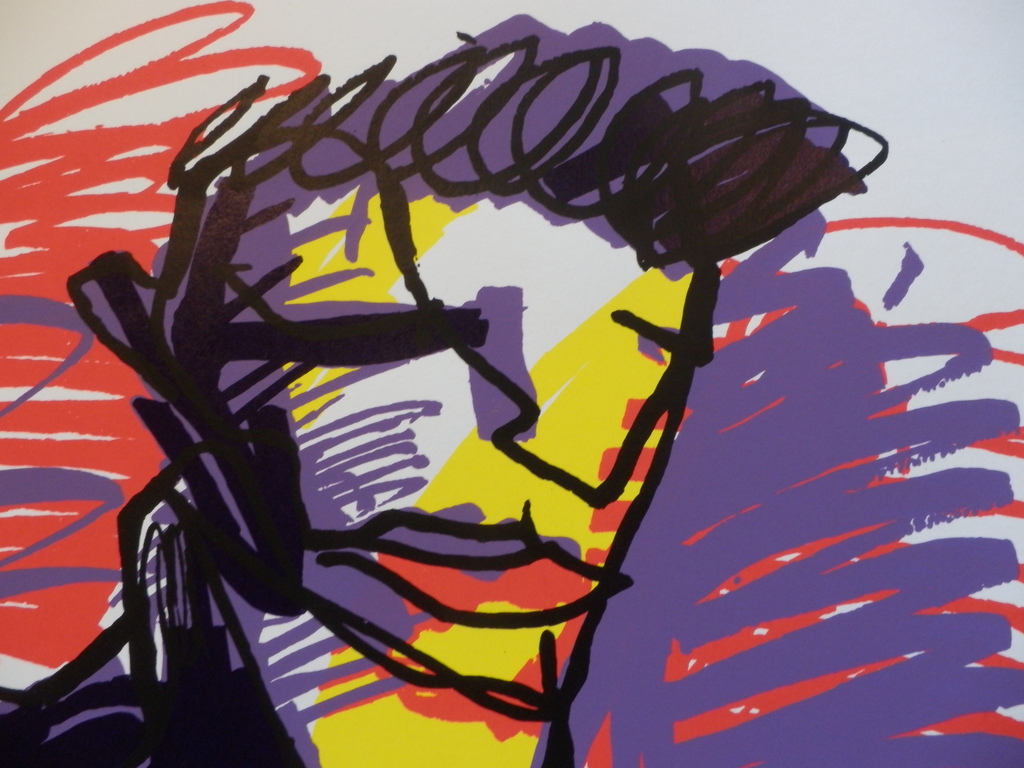 HERMAN BROOD, Gelimiteerde en HANDGESIGNEERDE Zeefdruk  ELVIS kopen? Bied vanaf 1!