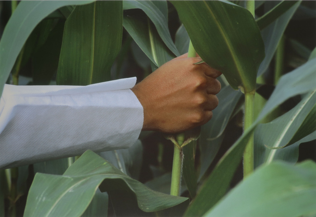 Robert Wevers: Inkjetprint, Hand en steel - Ingelijst (Groot!) kopen? Bied vanaf 100!