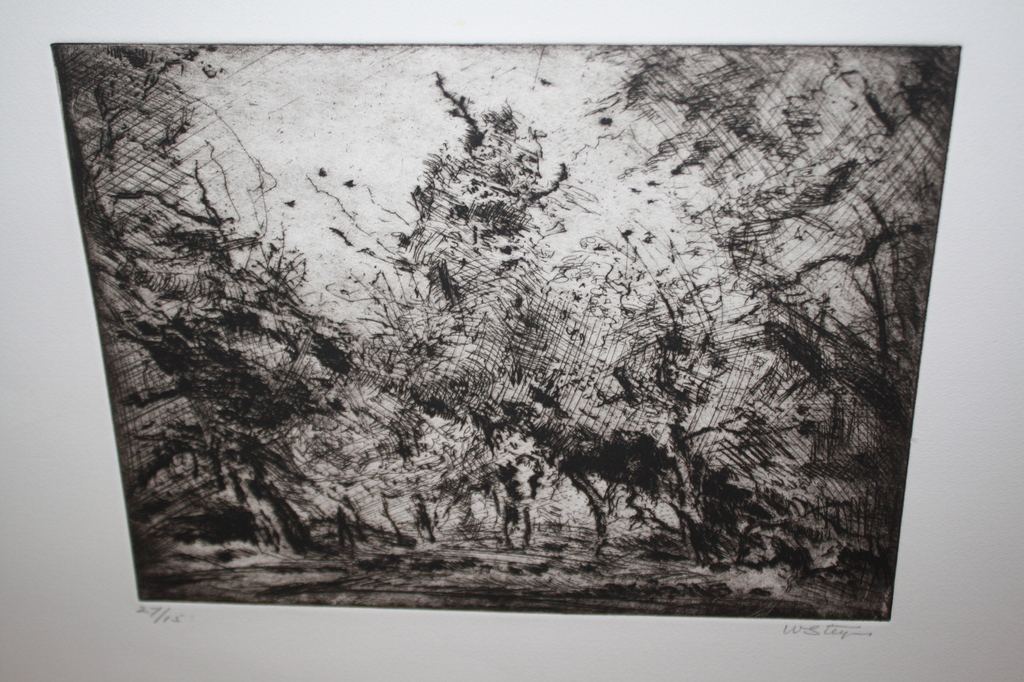 WIM STEIJN - ETS LANDSCHAP - leerling Verweij Haarlem verkocht voor € 35!