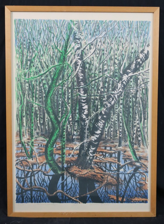 Jacobien de Rooij: Litho, Meeuwenparadijs - Ingelijst kopen? Bied vanaf 50!