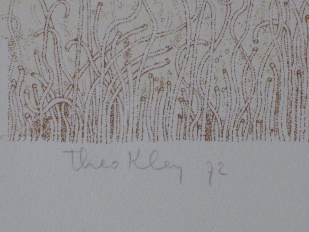 Theo Kley, Erfelijke variaties en Organische structuren, Kleurlitho kopen? Bied vanaf 30!