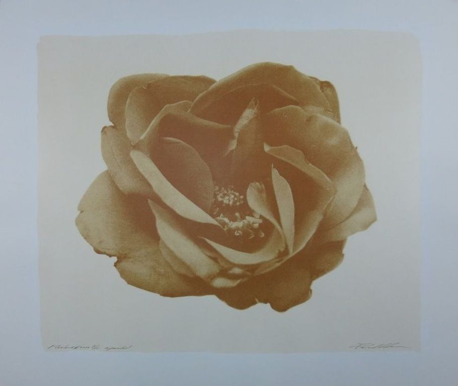 Paul Blanca - Marlene 2 - gesigneerde zeefdruk - oplage 55 ex. - 2000 kopen? Bied vanaf 110!