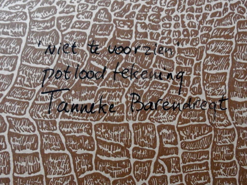 Tanneke Barendregt - potloodtekening: Niet te voorzien kopen? Bied vanaf 125!