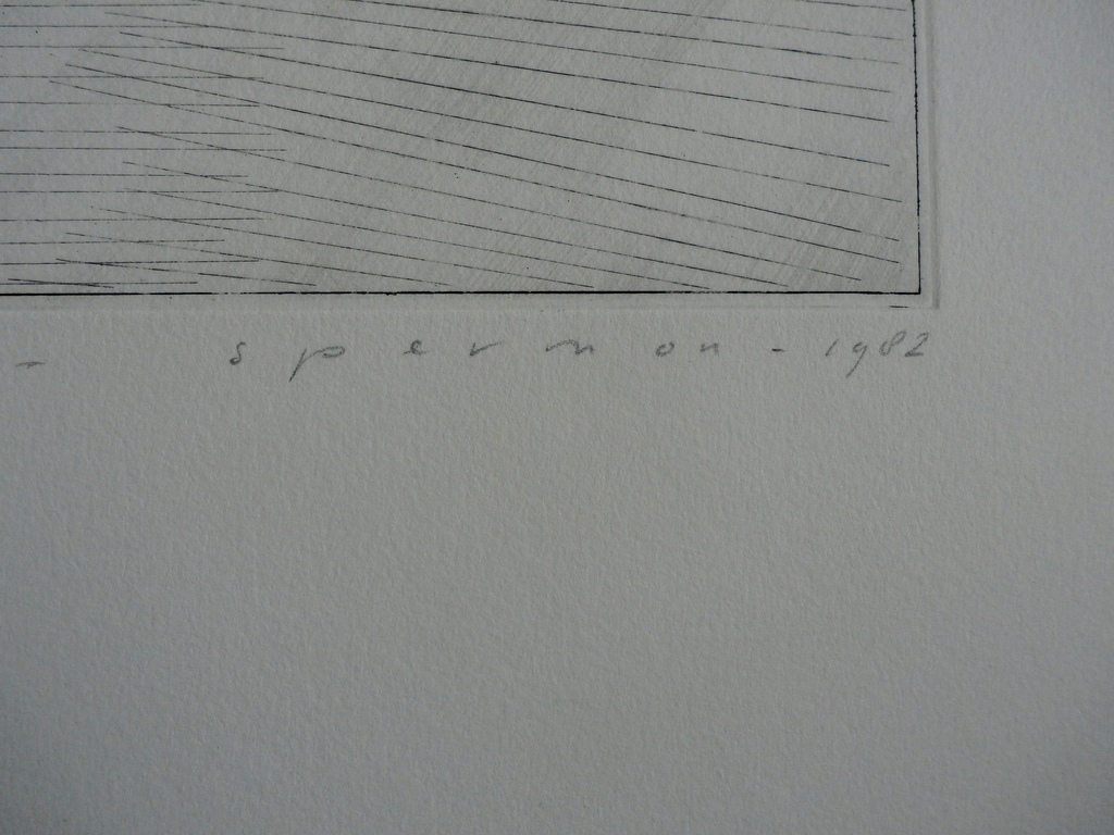 Kees Spermon - ets: sign - 1982 kopen? Bied vanaf 35!