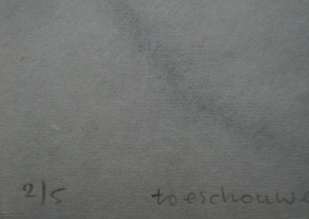 Christiaan van Tol - gesigneerde linoleum snede - toeschouwer kopen? Bied vanaf 10!