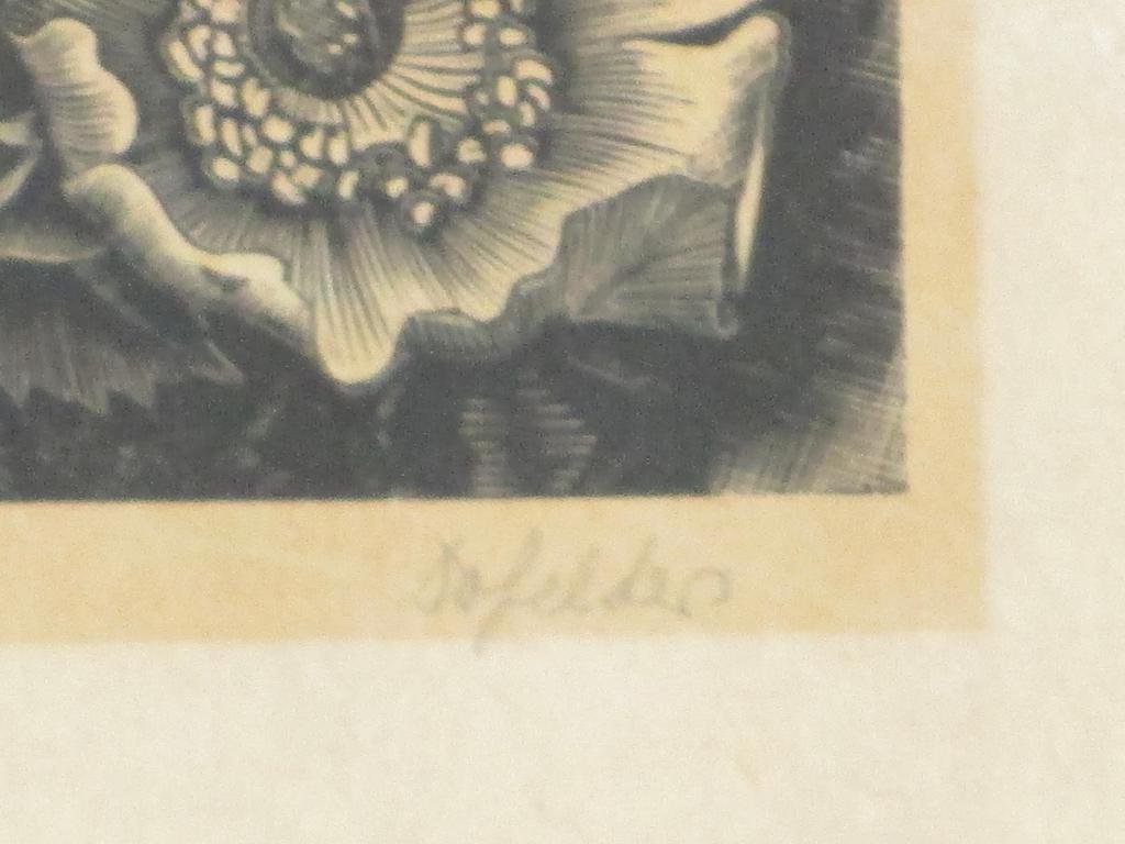 Dirk van Gelder, Bloemen, Kopergravure kopen? Bied vanaf 45!