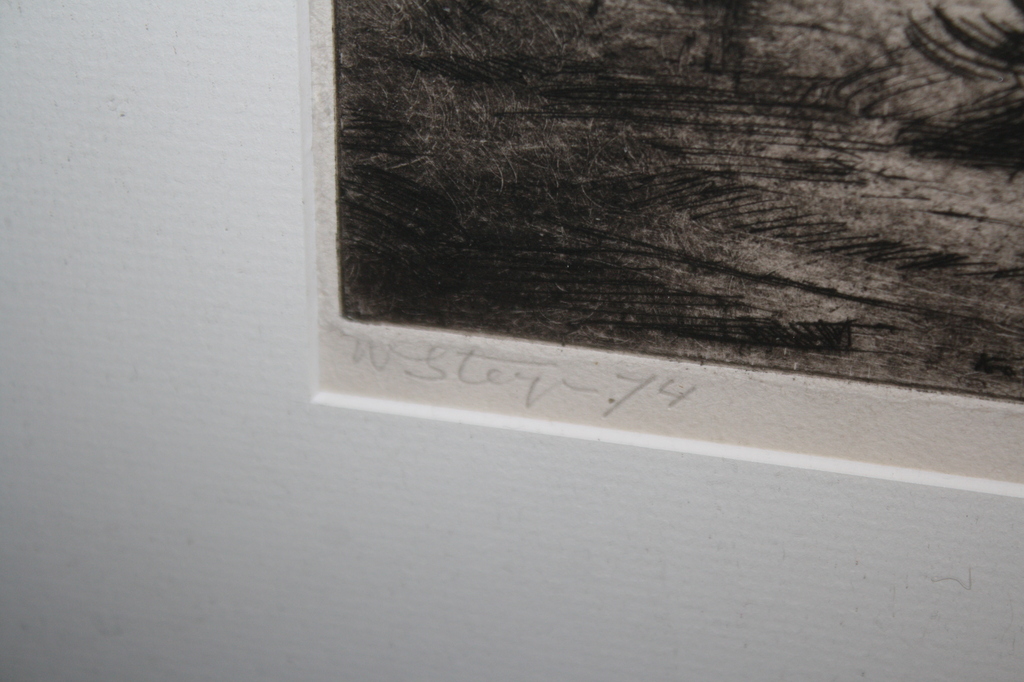 BOSLANDSCHAP  - ETS WIM STEIJN  - LEERLING KEES VERWEY kopen? Bied vanaf 39!