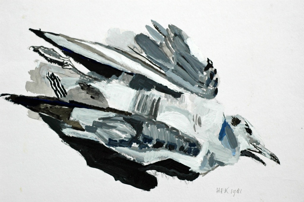 Hans Ebeling Koning, acrylverf op papier, Meeuw kopen? Bied vanaf 50!