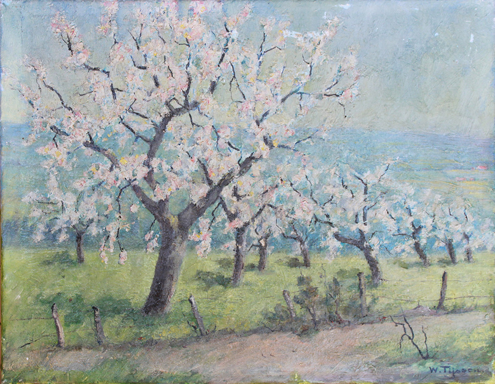 Willem Tijsen: olieverf, zonder titel (bloesem) verkocht voor € 50!