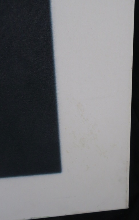 Nans Jetten: Zeefdruk op doek, Gewassen en geknipt 1 (Zeer groot) kopen? Bied vanaf 1!