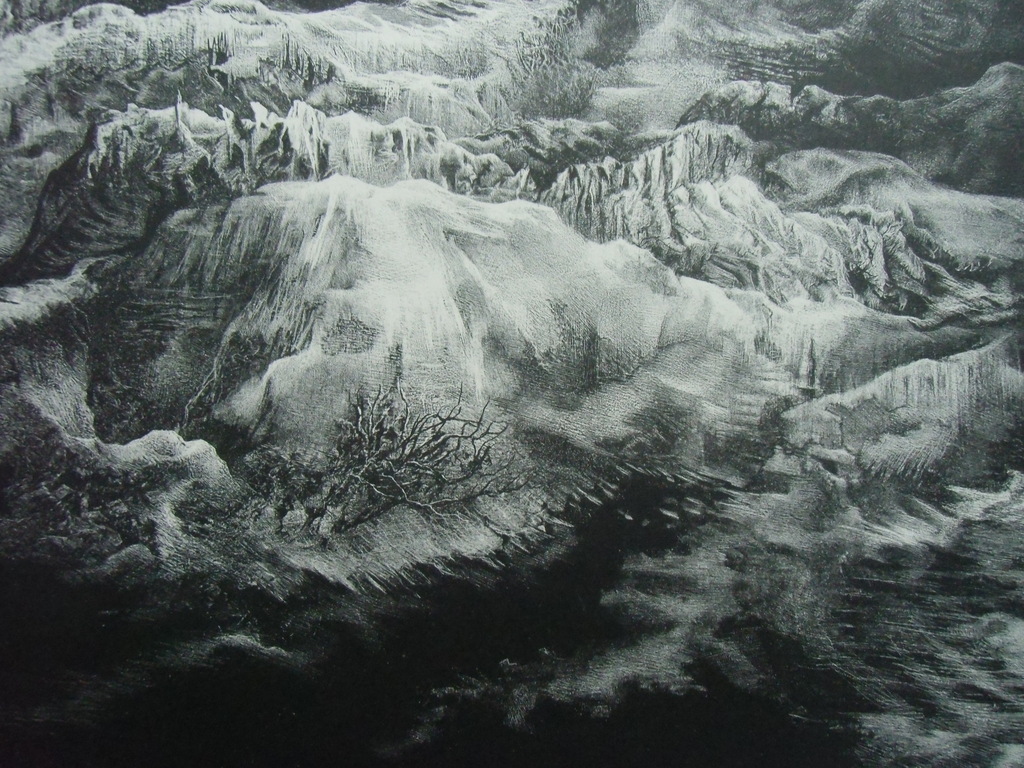 ELFDE LANDSCHAP   ///   LITHO VAN AART VAN DOBBENBURGH kopen? Bied vanaf 40!