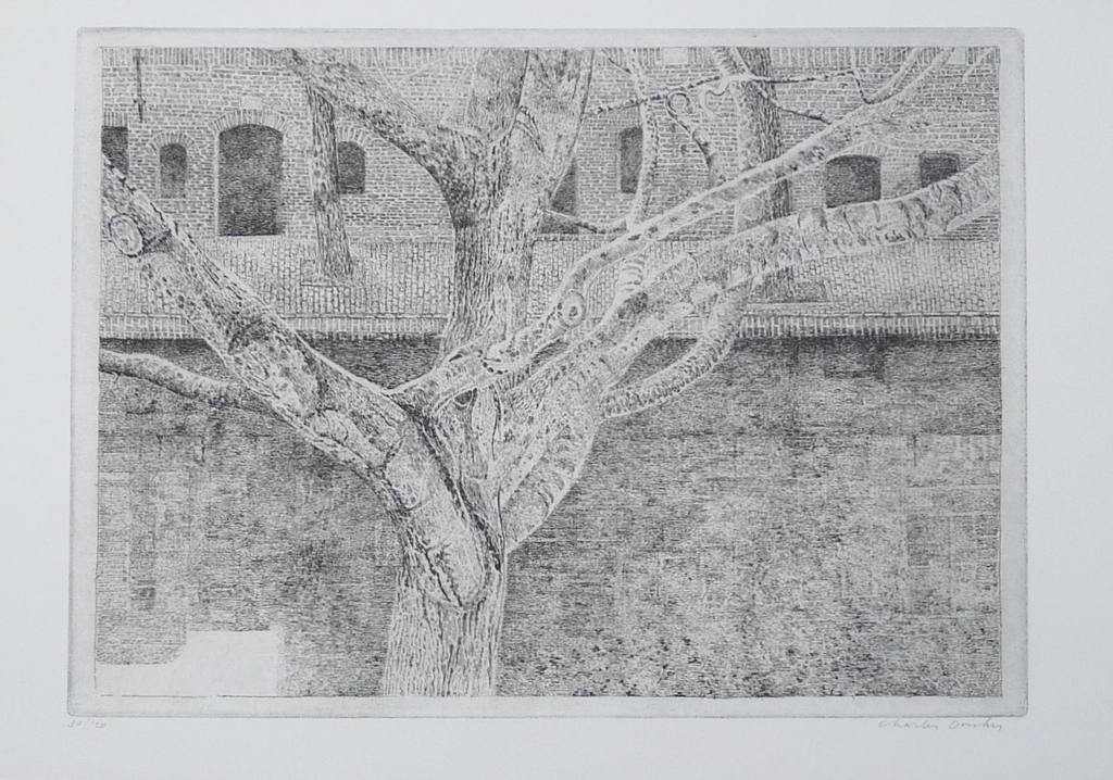 Charles Donker, Ets, Boom aan gracht  kopen? Bied vanaf 90!