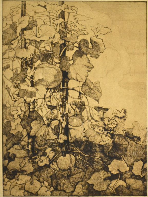 Reinier Kennedy: Grote ets/aquatint. Tomatenplant verkocht voor € 35!