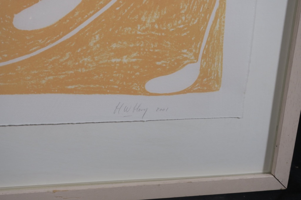 Hans Hovy: Litho, Lange prent - Ingelijst kopen? Bied vanaf 20!