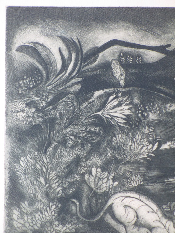 Etie van Rees, Schemerwereld, Ets kopen? Bied vanaf 30!