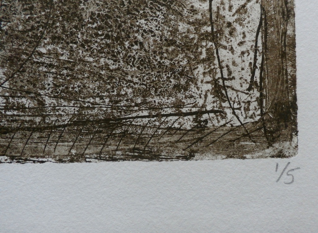 Pieter Drift - ets: de zwartvogel - 2000 kopen? Bied vanaf 45!