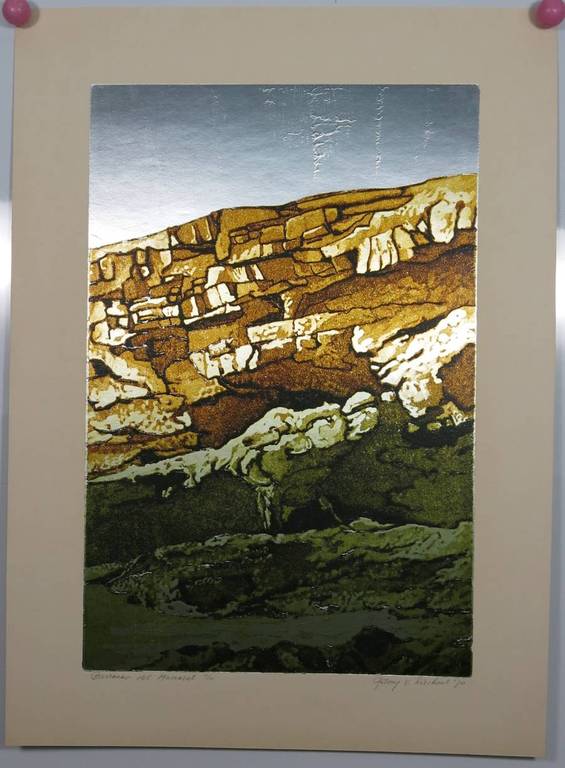 Anthony van Lieshout: Aquatint op aluminiumfolie, Barranco del Mascerat kopen? Bied vanaf 1!