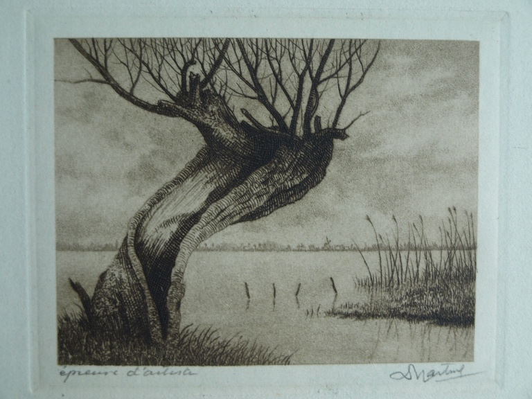 Dirk Harting (1884-1970) : Ets – Knotwilg aan het water – gesigneerd – ca 1935 kopen? Bied vanaf 25!