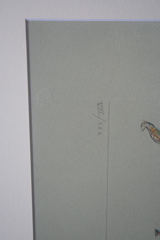 Leonor Fini, Kleurenets, dansers - gesigneerd - oplage 30 ex. kopen? Bied vanaf 80!