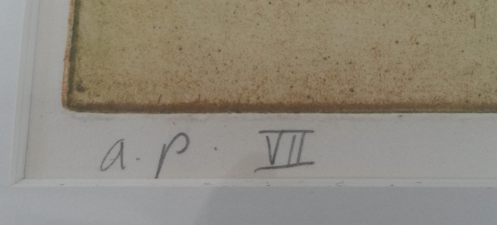 Peter Bes - kleurenets - Van Gogh meets Peter Winnen kopen? Bied vanaf 70!