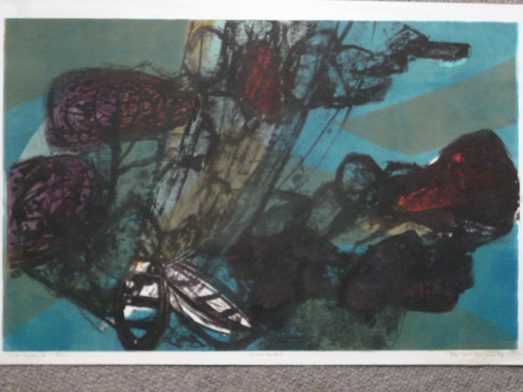 Ru van Rossem - kleurenets - Costa Liguria I verkocht voor € 80!